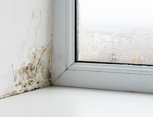 Damp – Common But Not To Be Underestimated As A Threat To Property And People